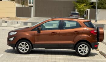 Ford Eco-Sport 2020 Brown full