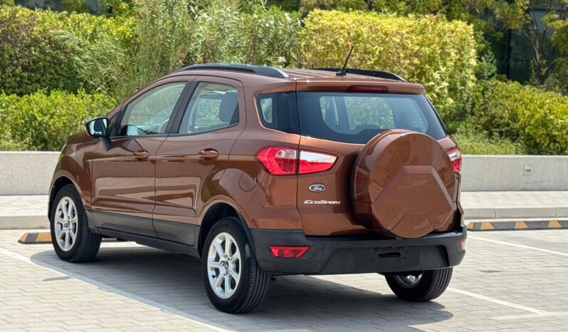 Ford Eco-Sport 2020 Brown full