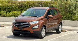 Ford Eco-Sport 2020 Brown