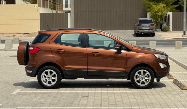 Ford Eco-Sport 2020 Brown full