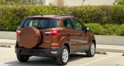 Ford Eco-Sport 2020 Brown