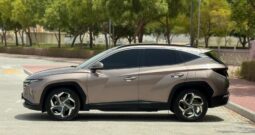 Tucson 2022 Full Option Brown